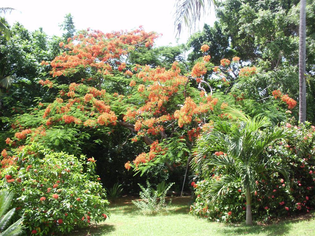 Casa De Las Flores Tropical San Andres  Exterior photo