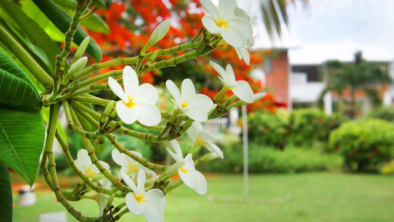 Casa De Las Flores Tropical San Andres  Exterior photo
